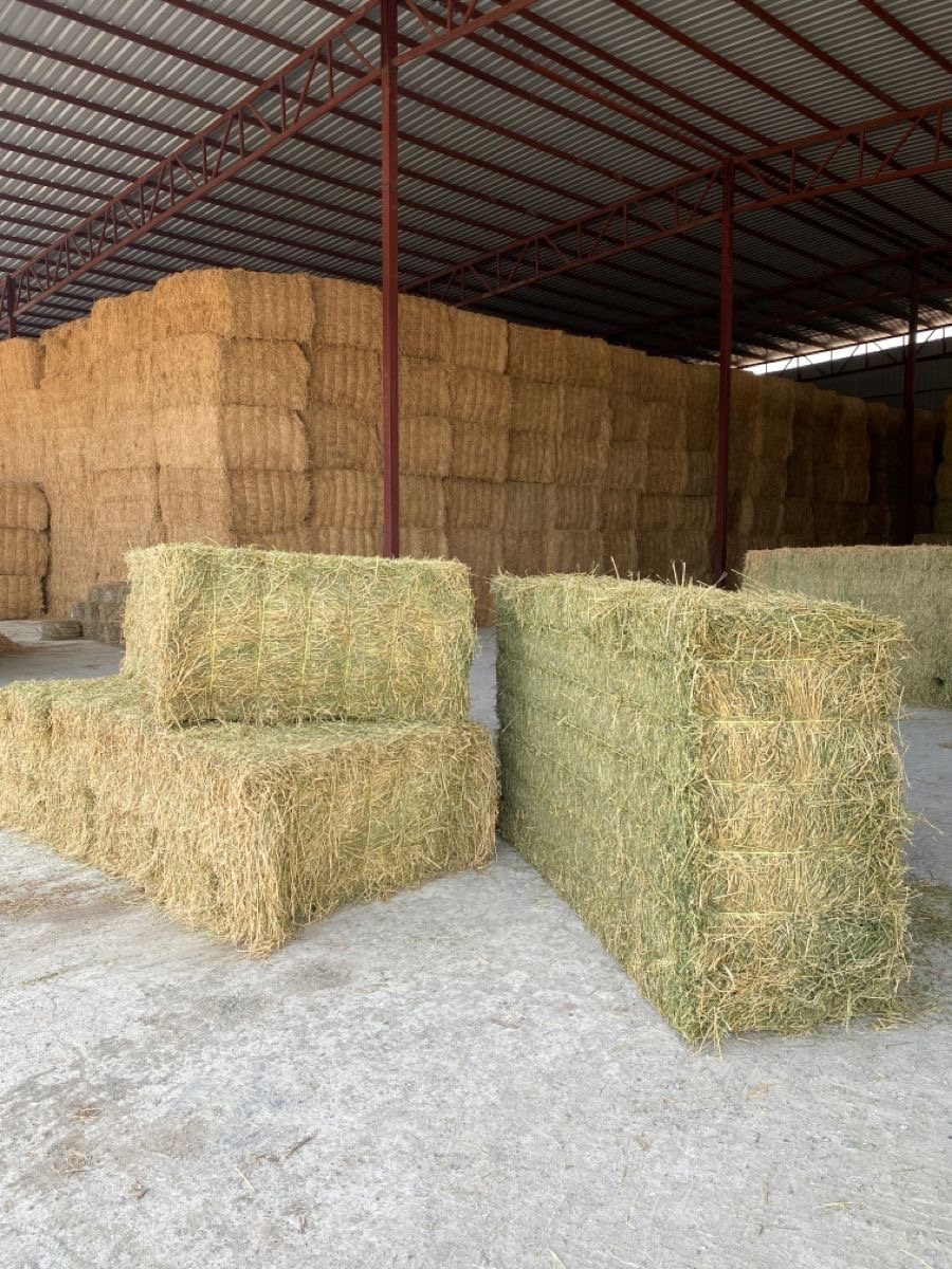 Hay stored in warehouse
